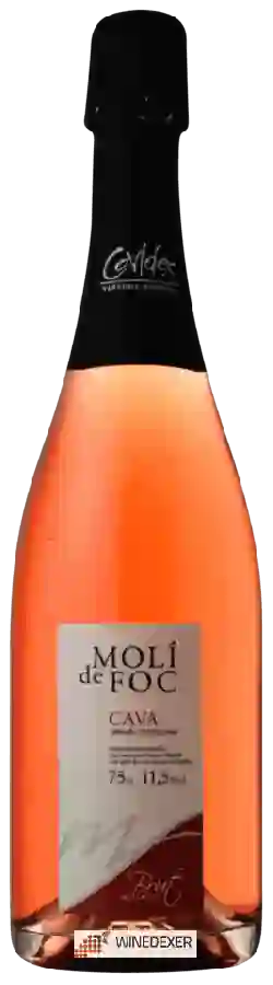 Weingut Molí de Foc - Cava Brut Rosado