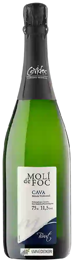 Weingut Molí de Foc - Cava Brut
