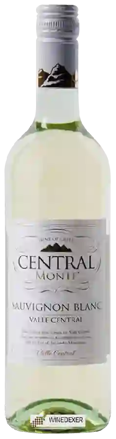 Weingut Central Monte - Sauvignon Blanc