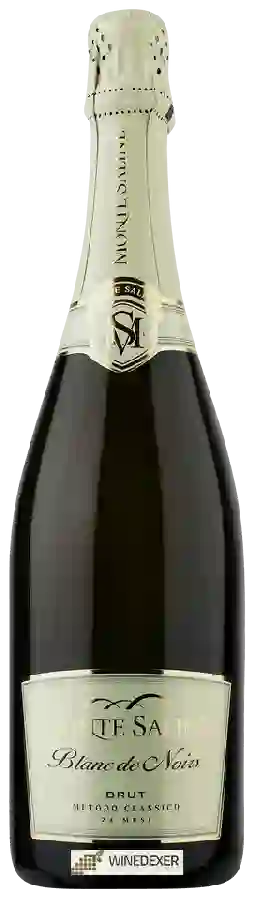 Weingut Monte Saline - Blanc de Noirs Brut