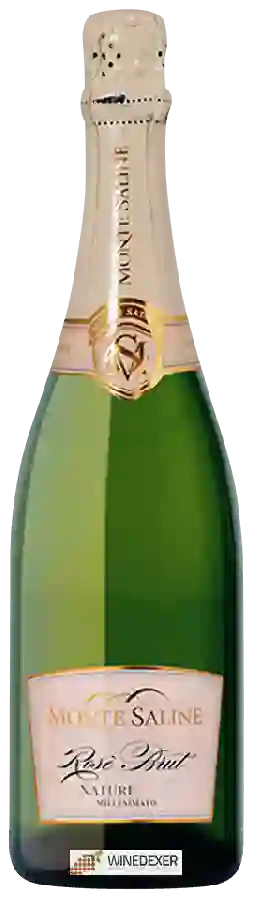 Weingut Monte Saline - Rosé Brut Nature