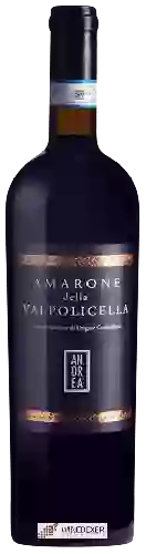 Weingut Monteci - Andrea Amarone Della Valpolicella