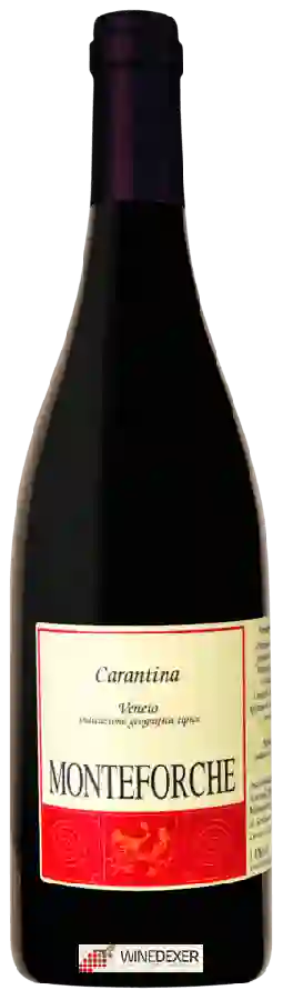 Weingut Monteforche - Carantina Weingut Monteforche - Carantina