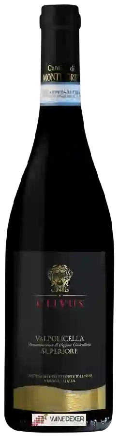 Weingut Cantina di Monteforte - Clivus Valpolicella Superiore