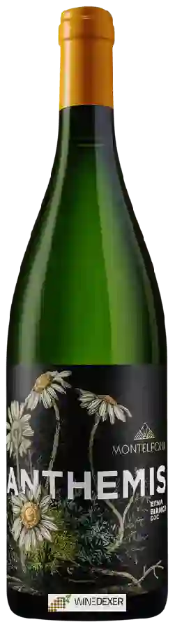 Weingut Monteleone - Anthemis Etna Bianco Weingut Monteleone - Anthemis Etna Bianco
