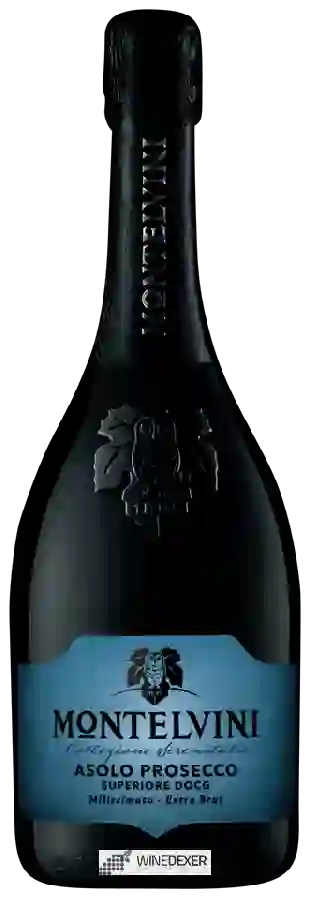 Weingut Montelvini - Asolo Prosecco Superiore Millesimato Extra Brut Weingut Montelvini - Asolo Prosecco Superiore Millesimato Extra Brut