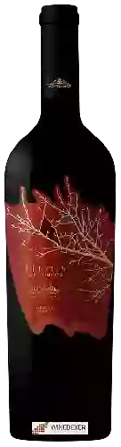 Weingut Montemajor - Flétris