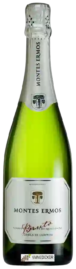 Weingut Montes Ermos - Códega do Larinho Bruto