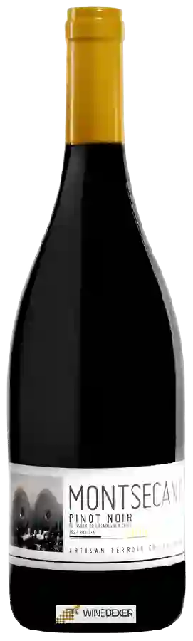 Weingut Montsecano - Pinot Noir Weingut Montsecano - Pinot Noir