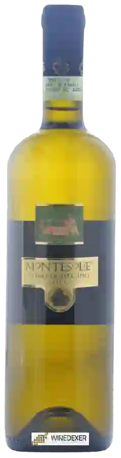 Weingut Montesole - Fiano di Avellino