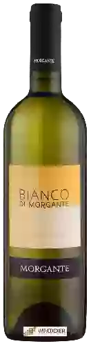 Weingut Morgante - Bianco di Morgante