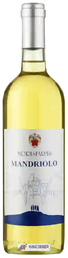 Weingut Morisfarms - Mandriolo Bianco