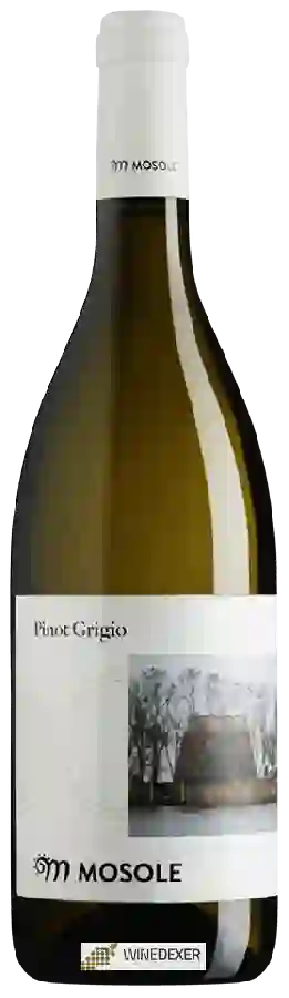 Weingut Mosole - Pinot Grigio Weingut Mosole - Pinot Grigio