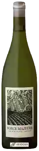 Weingut Mother Rock - Force Majeure Chenin Blanc