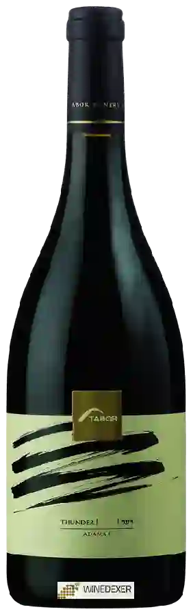 Weingut Tabor - Adama II Thunder