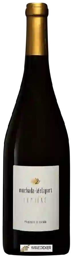 Weingut Muchada-Léclapart - Lumière Weingut Muchada-Léclapart - Lumière