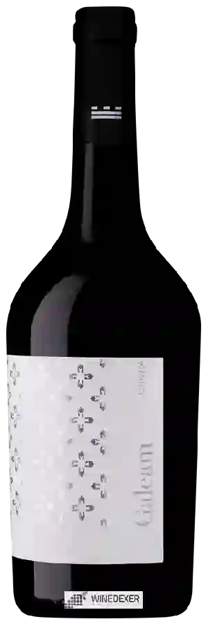 Weingut Murviedro - Galeam Crianza Weingut Murviedro - Galeam Crianza