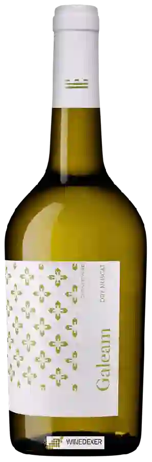 Weingut Murviedro - Galeam Dry Muscat