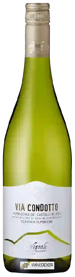 Weingut Musone Colognola - Via Condotto Verdicchio dei Castelli di Jesi Classico Superiore Weingut Musone Colognola - Via Condotto Verdicchio dei Castelli di Jesi Classico Superiore