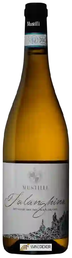 Weingut Mustilli - Falanghina Weingut Mustilli - Falanghina