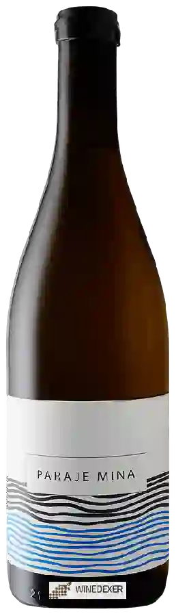 Weingut Nanclares - Paraje Mina Albariño