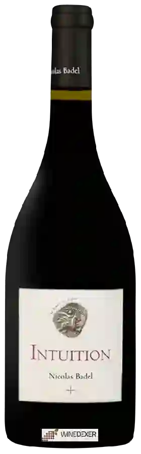 Weingut Nicolas Badel - Intuition Weingut Nicolas Badel - Intuition