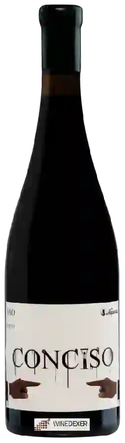 Weingut Niepoort - Conciso Tinto
