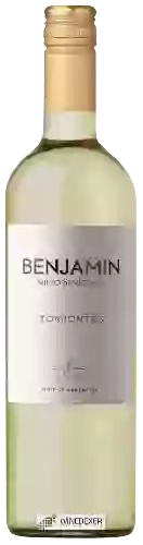 Weingut Nieto Senetiner - Benjamin Torrontes