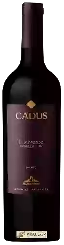 Weingut Nieto Senetiner - Cadus Appellation Malbec
