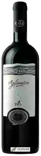 Weingut Nifo Sarrapochiello - Aglianico