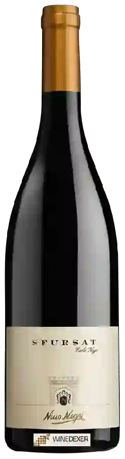 Weingut Nino Negri - Sfursat Carlo Negri Weingut Nino Negri - Sfursat Carlo Negri