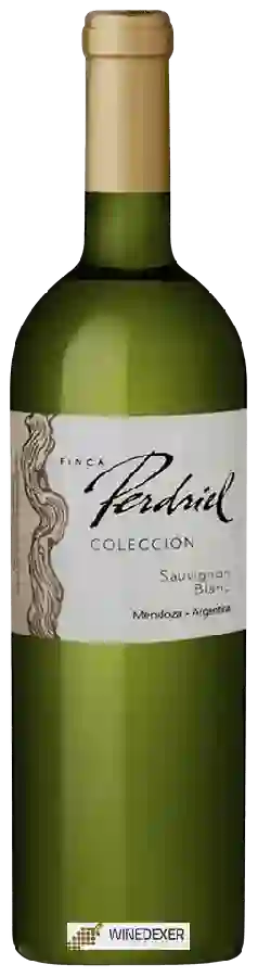 Weingut Norton - Finca Perdriel Colección Sauvignon Blanc