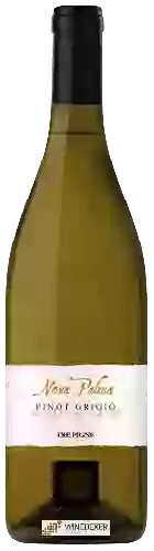 Weingut Tre Pigne - Nova Palma Pinot Grigio