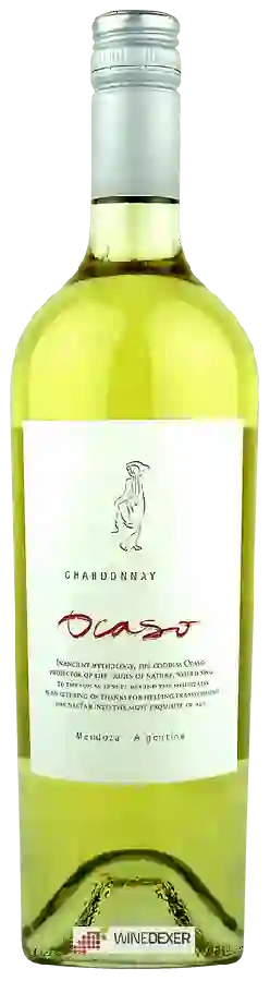 Weingut Ocaso - Chardonnay Weingut Ocaso - Chardonnay