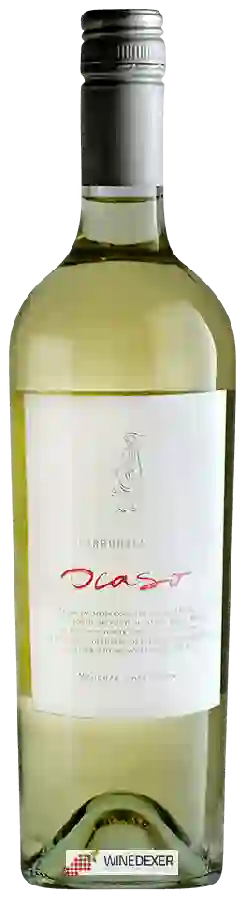 Weingut Ocaso - Torrontés Weingut Ocaso - Torrontés