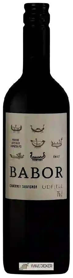 Weingut Odfjell - Babor Cabernet Sauvignon