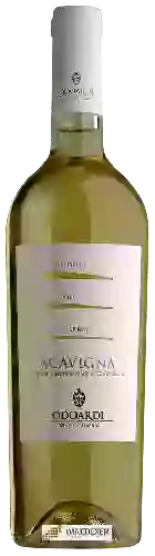 Weingut Odoardi - Scavigna Bianco