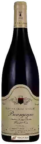 Domaine Odoul-Coquard - Bourgogne Pinot Noir