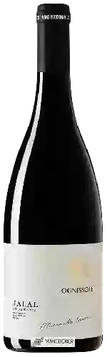 Weingut Ognissole - Jalal