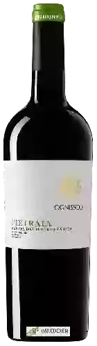 Weingut Ognissole - Pietraia