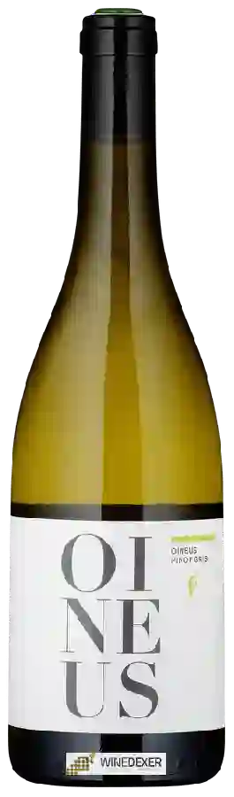 Weingut Oineus - Pinot Gris Weingut Oineus - Pinot Gris
