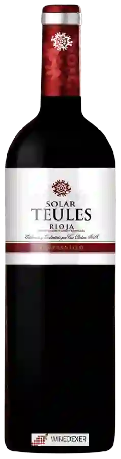 Weingut Viña Olabarri - Solar Teules Tempranillo