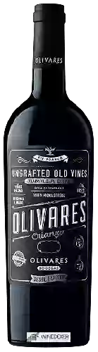 Weingut Olivares - Crianza