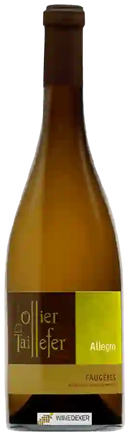 Domaine Ollier Taillefer - Allegro Faugères Domaine Ollier Taillefer - Allegro Faugères