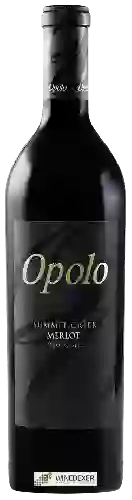 Weingut Opolo - Summit Creek Merlot