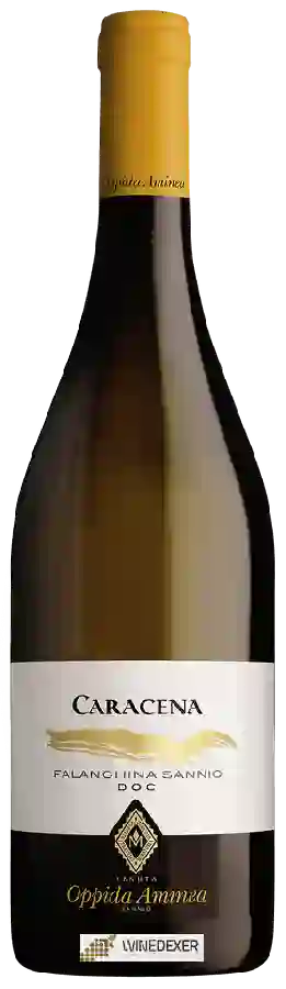 Weingut Tenuta Oppida Aminea - Caracena Falanghina del Sannio