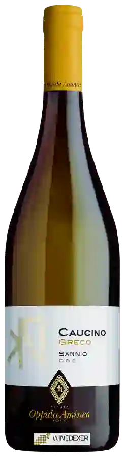 Weingut Tenuta Oppida Aminea - Caucino Greco Weingut Tenuta Oppida Aminea - Caucino Greco