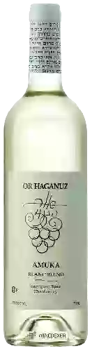 Weingut Or Haganuz - Amuka Blanc Blend (בלאן בעמוקה תַעֲרוֹבֶת)