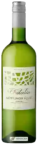Weingut Ordalia - Sauvignon Blanc