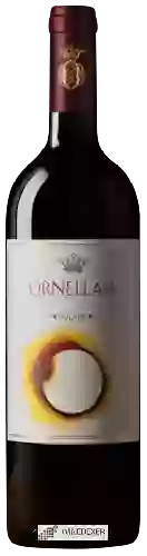 Weingut Ornellaia - Vendemmia d'Artista Solare